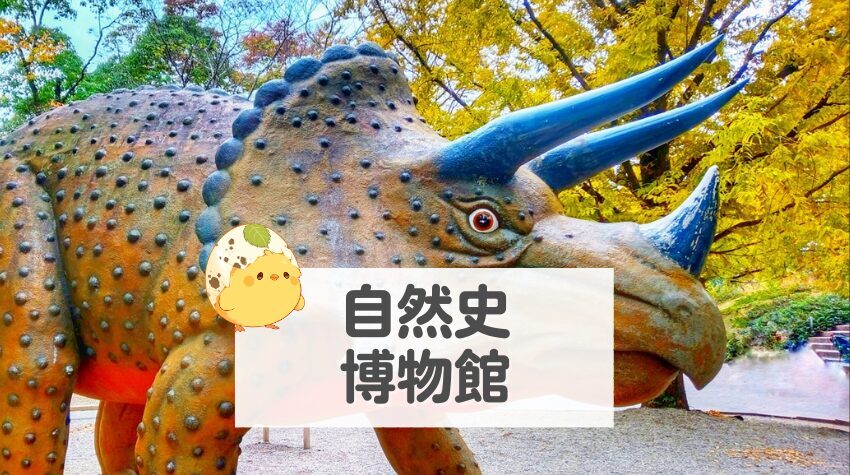 豊橋市自然史博物館｜のんほいパークは動物園だけじゃない！自然史博物館の展示物の魅力や体験学習プログラムを紹介